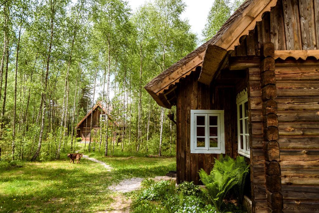 Vabalyne Vilkiskes Exterior foto