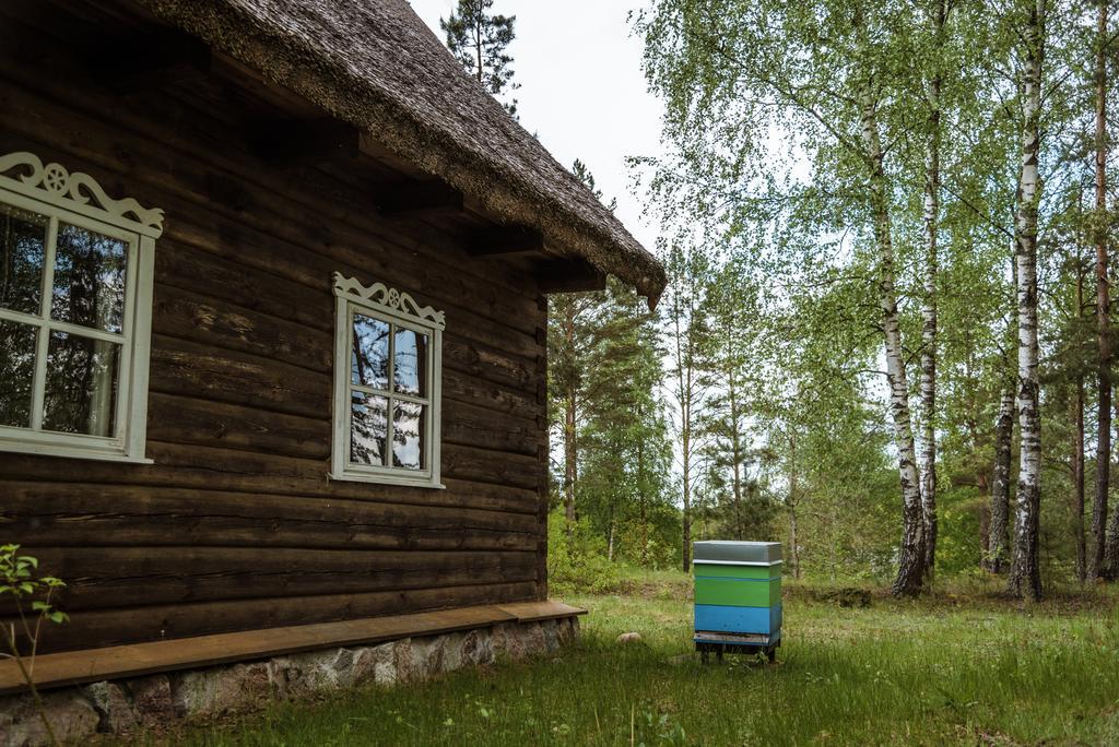 Vabalyne Vilkiskes Exterior foto